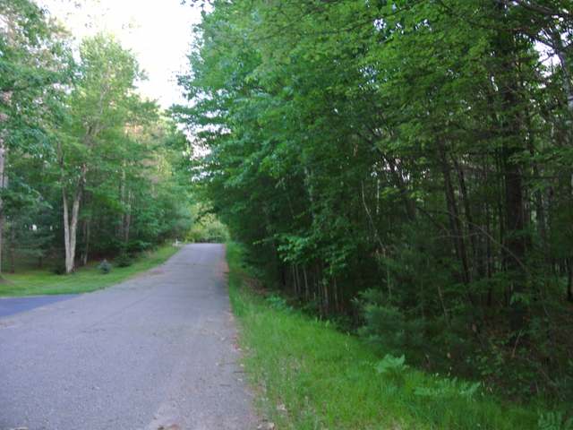 Lot 13 Grant Road Minocqua, WI 54548 - Photo 4 of 18 Gallery Image 4