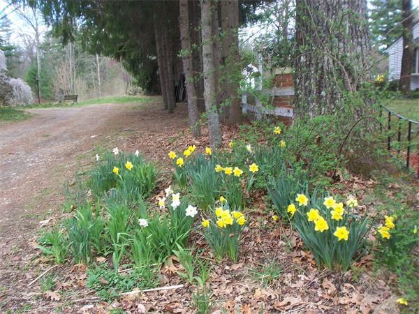 80 Old Belchertown Road Ware, MA 01082 - Photo 4 of 14