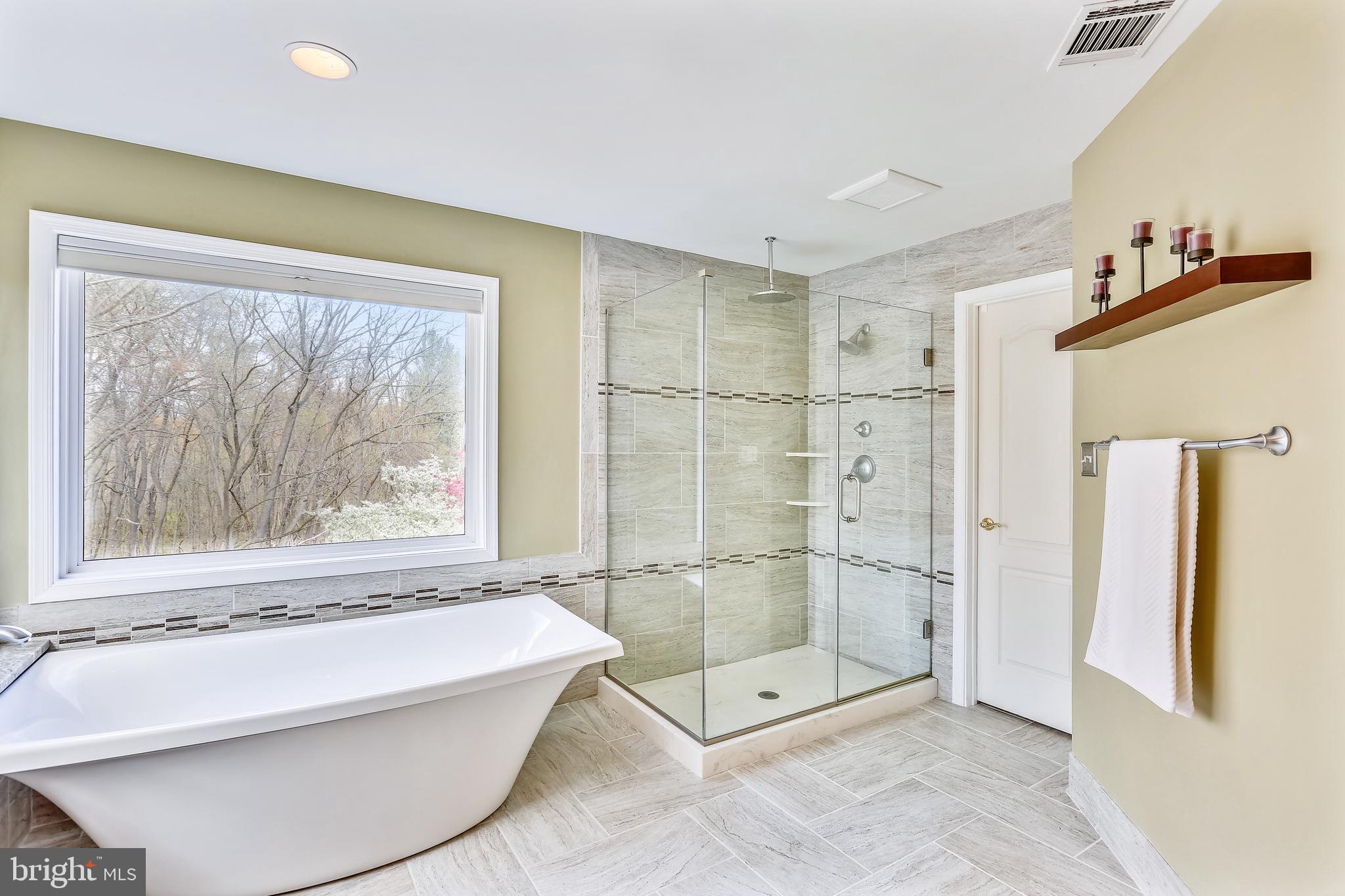 20931 Sunnyacres Road Gaithersburg, MD 20882 - Photo 38 of 83 Beautiful standing tub & separate shower