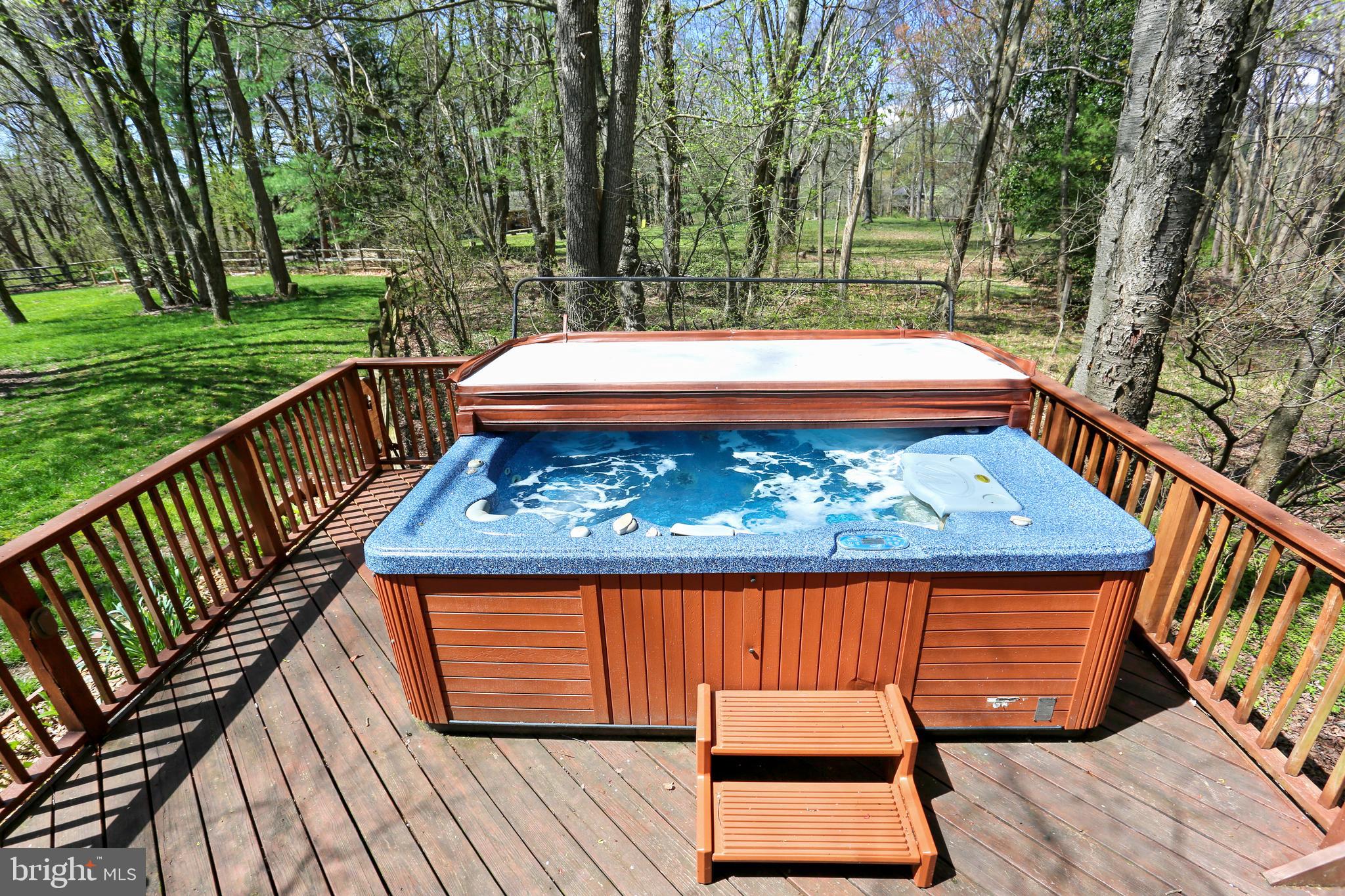 20931 Sunnyacres Road Gaithersburg, MD 20882 - Photo 64 of 83 Hot Tub (As Is)