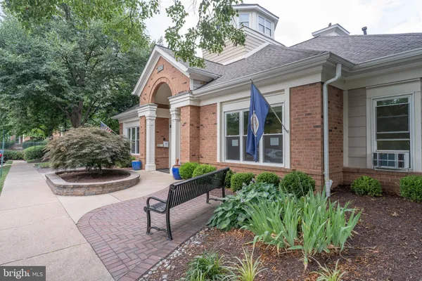 a view of a garden with plants