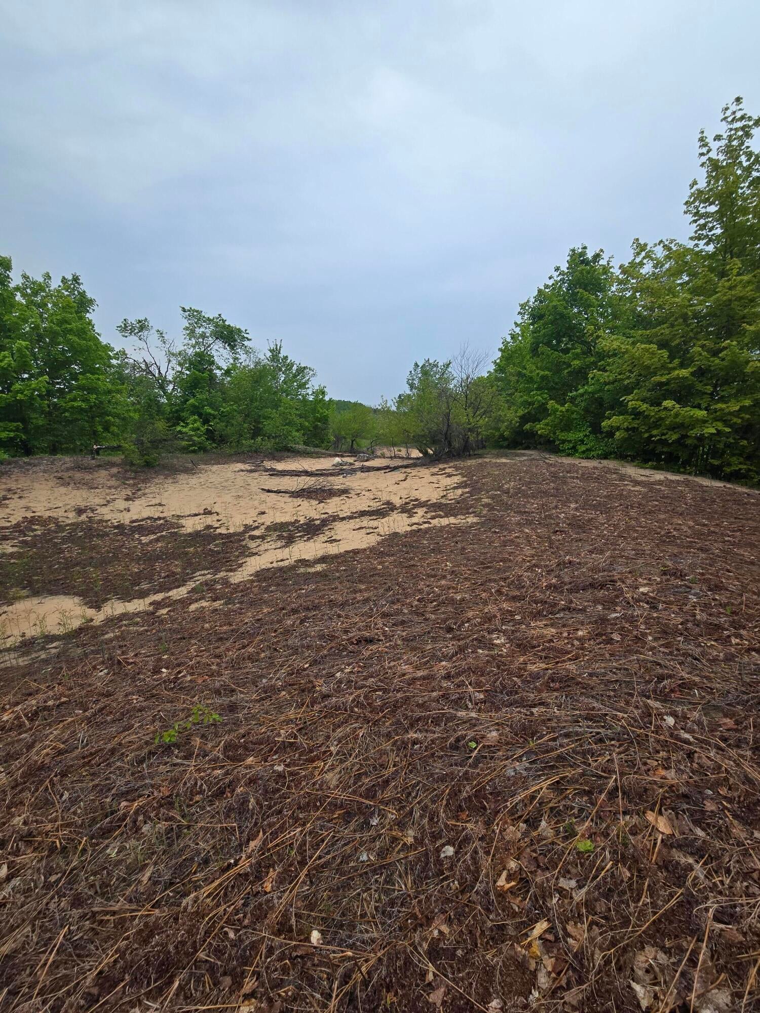 0 Durkalic Road Pellston, MI 49769 - Photo 7 of 15 20250530_111846