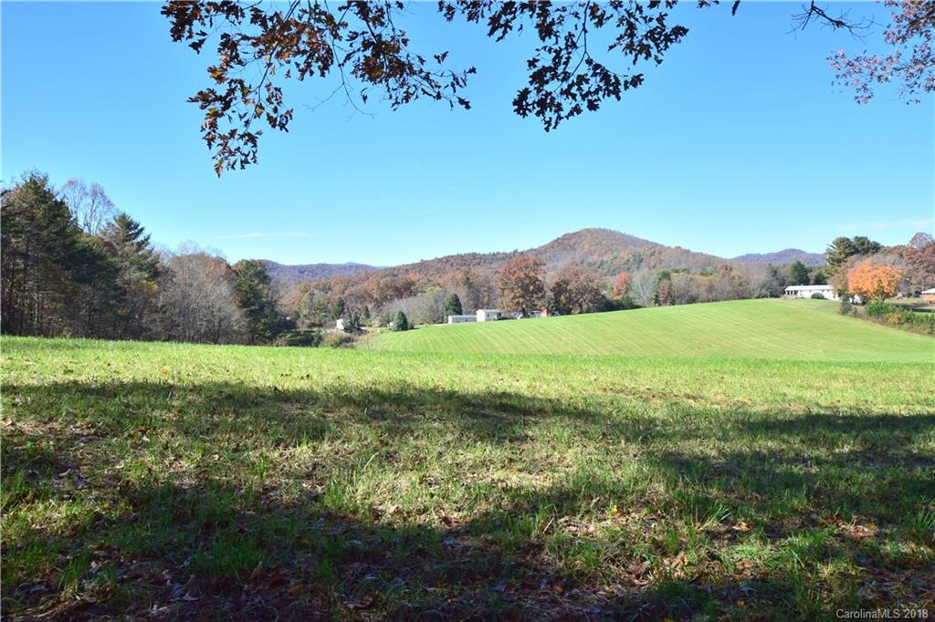 310 Foxhall Road Mills River, NC 28759 - Photo 33 of 36 Gallery Image 33