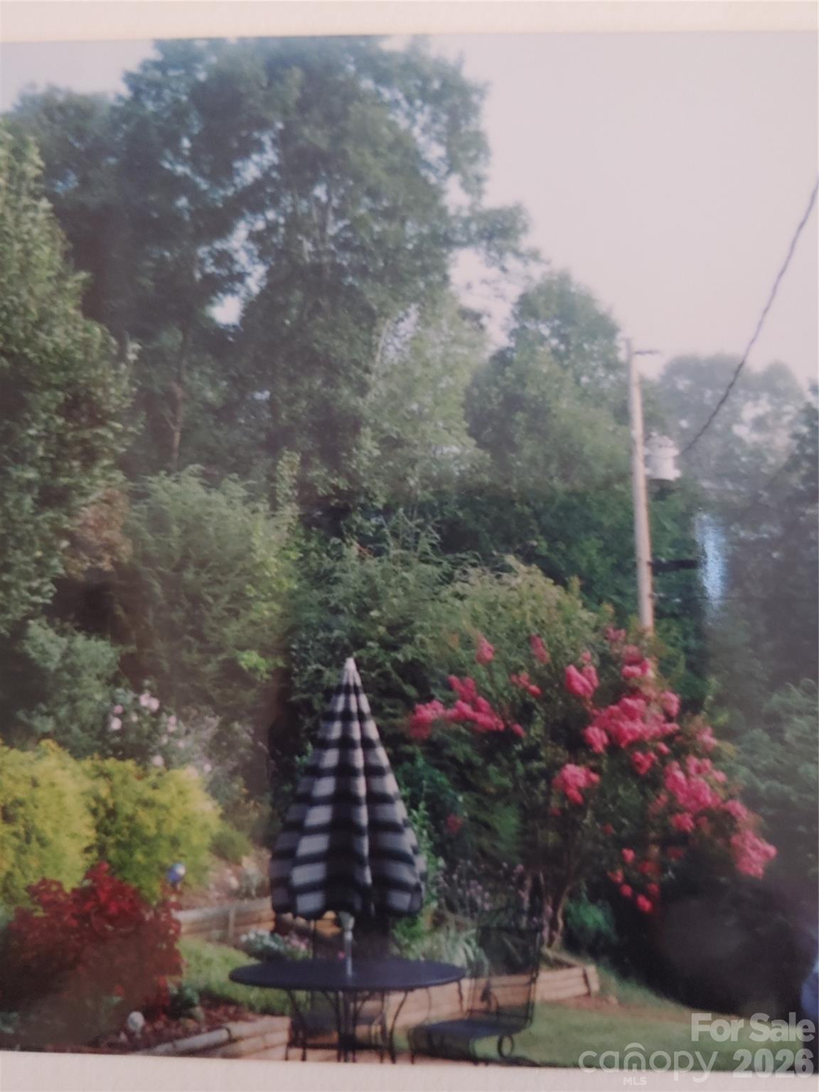 707 Lickskillet Road Burnsville, NC 28714 - Photo 11 of 44