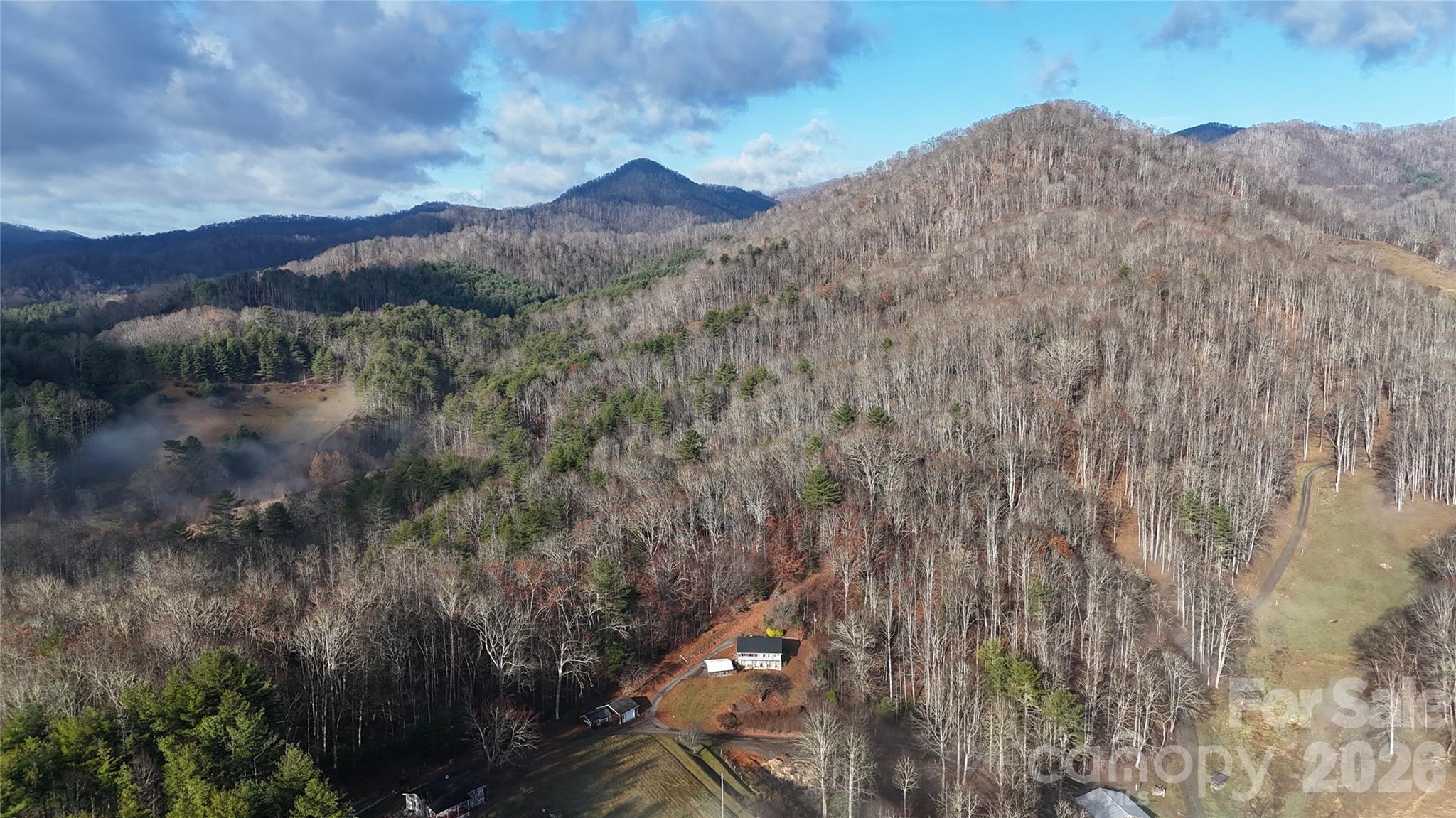 707 Lickskillet Road Burnsville, NC 28714 - Photo 4 of 44