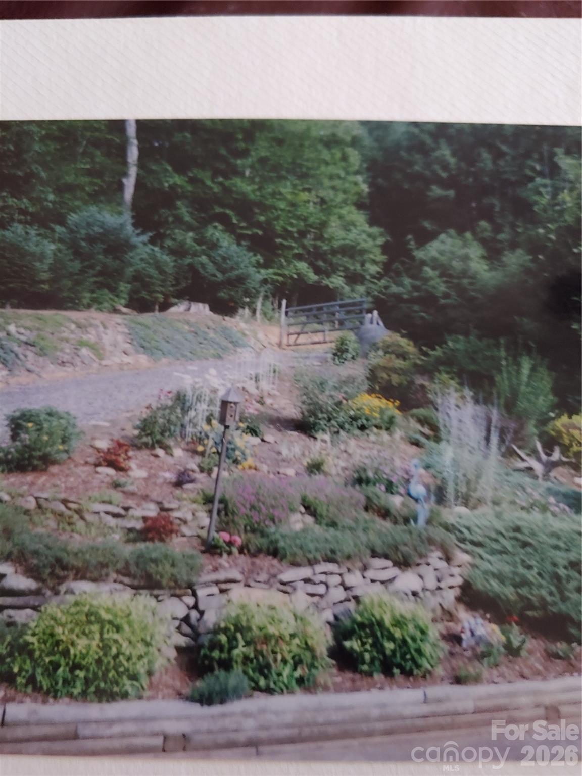 707 Lickskillet Road Burnsville, NC 28714 - Photo 8 of 44