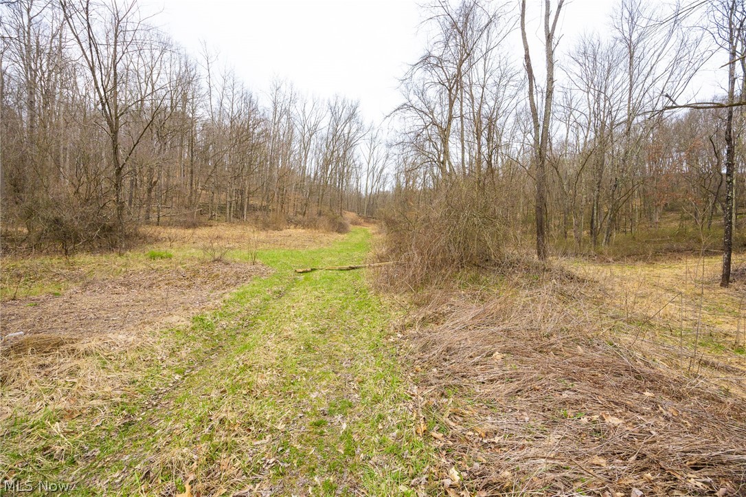 71 Township Road Killbuck, OH 44637 - Photo 7 of 39