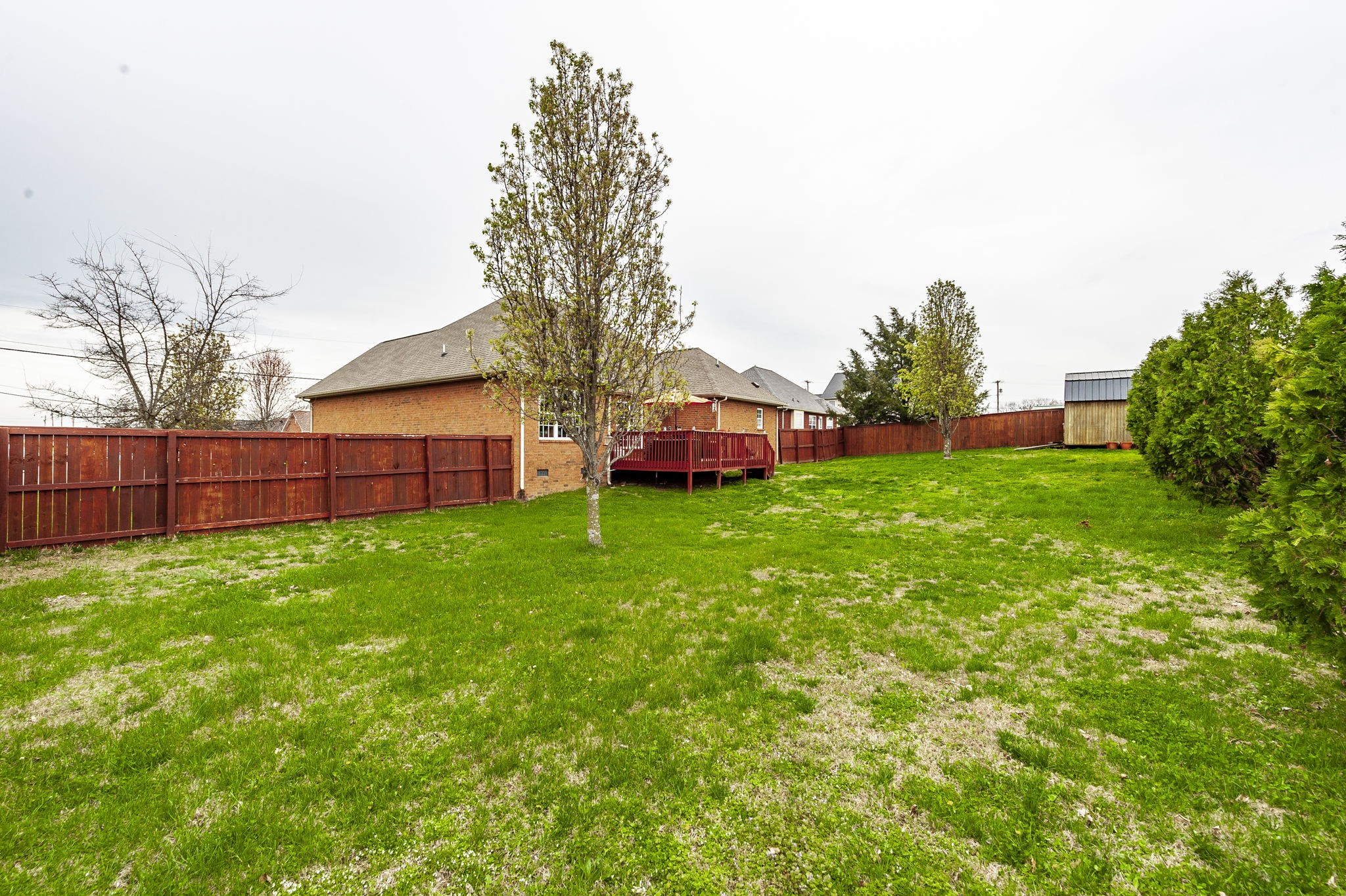 1183 Bothwell Place Gallatin, TN 37066 - Photo 51 of 53 a view of a backyard with a garden