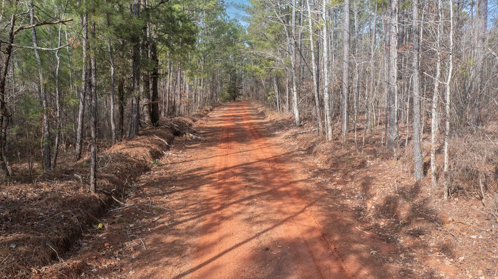 0 Carlisle Road Woodland, GA 31836 - Photo 3 of 10
