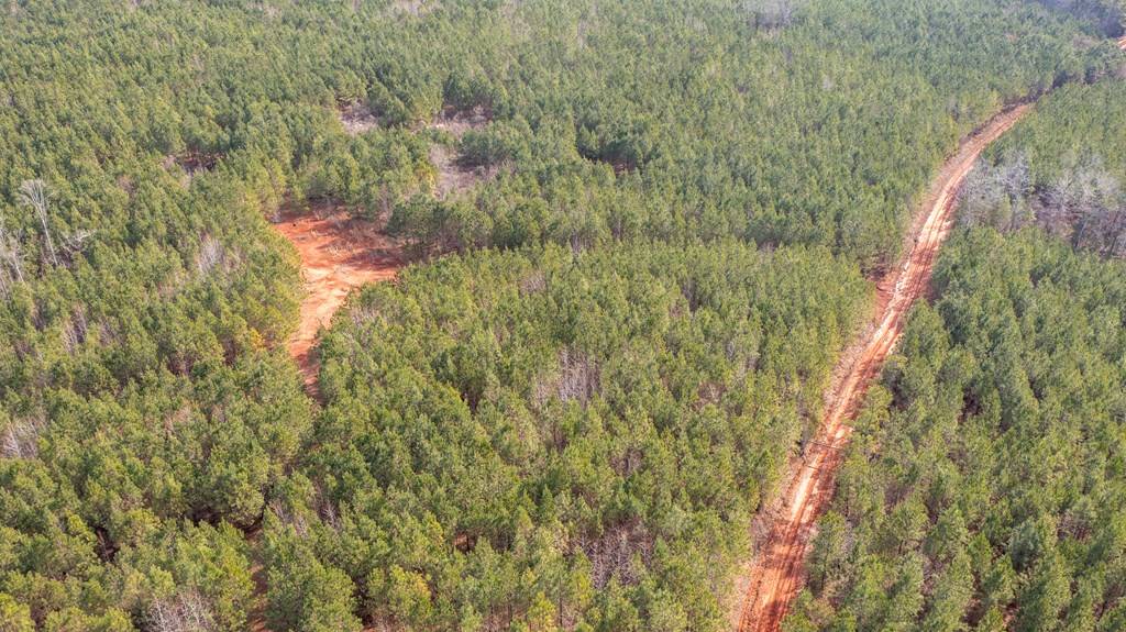 0 Carlisle Road Woodland, GA 31836 - Photo 4 of 10