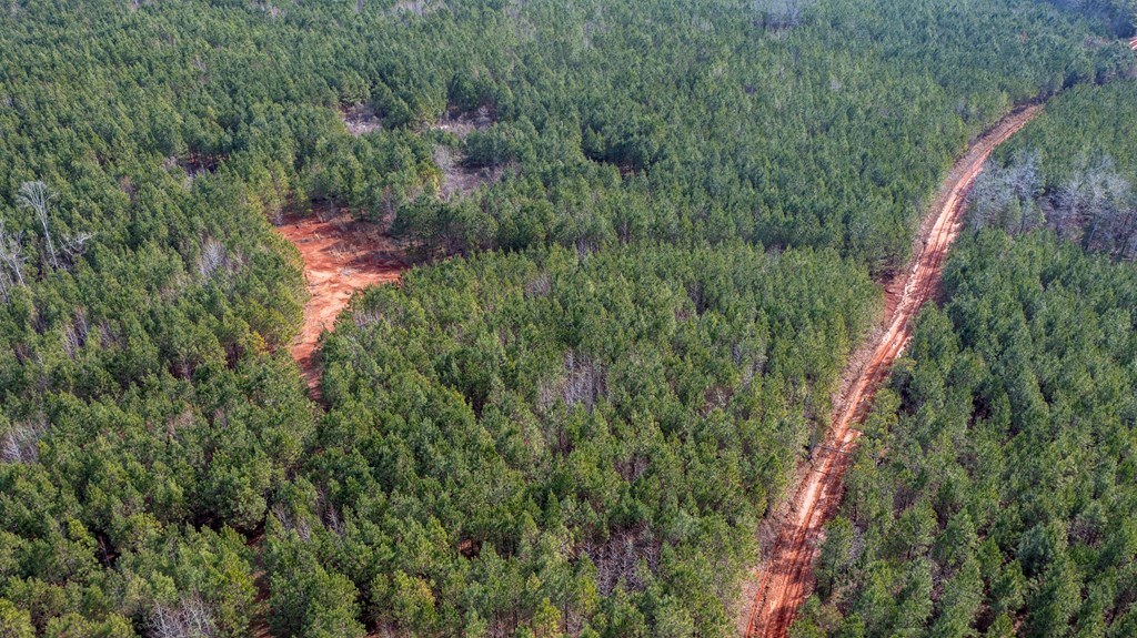 0 Carlisle Road Woodland, GA 31836 - Photo 5 of 10