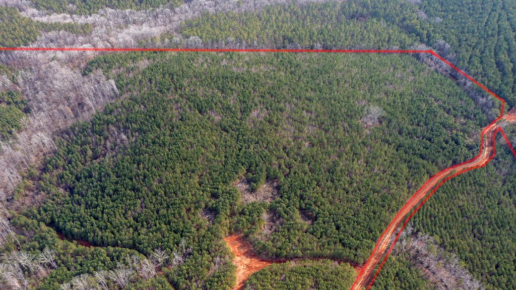 0 Carlisle Road Woodland, GA 31836 - Photo 6 of 10