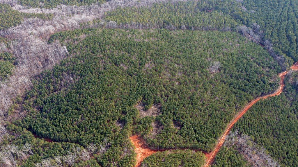 0 Carlisle Road Woodland, GA 31836 - Photo 7 of 10