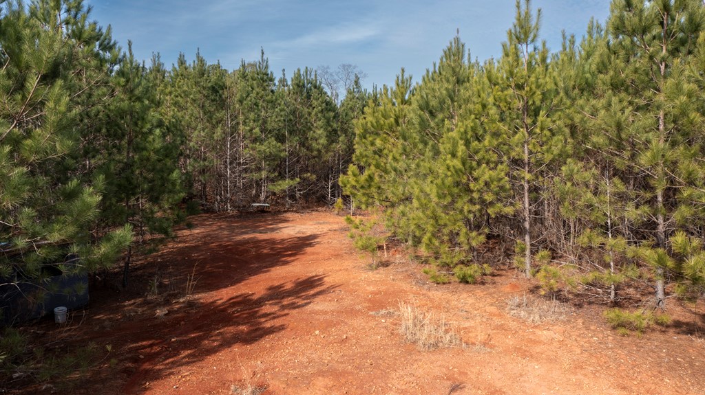 0 Carlisle Road Woodland, GA 31836 - Photo 10 of 10