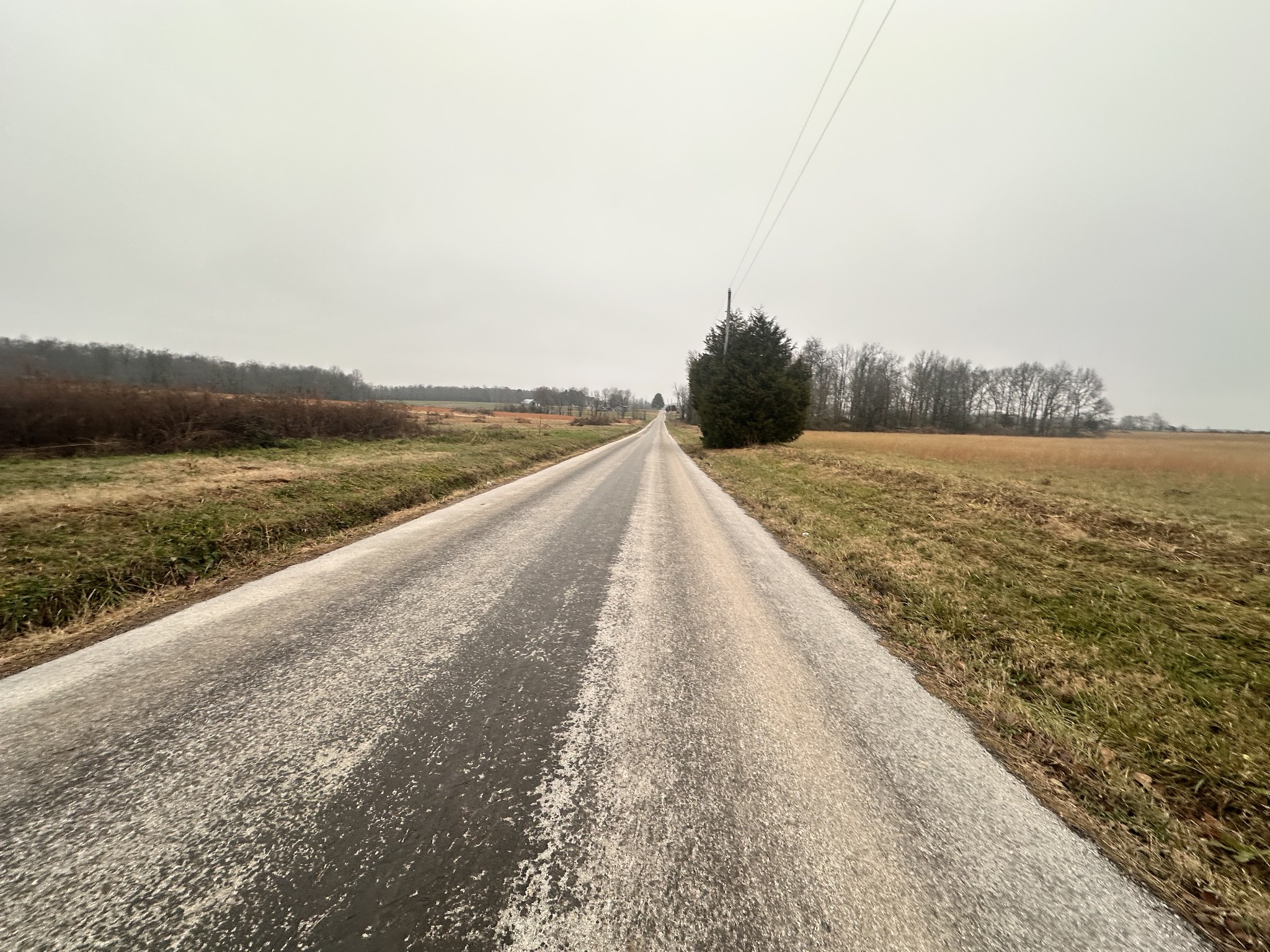 0 Rushing Road Ethridge, TN 38456 - Photo 15 of 16