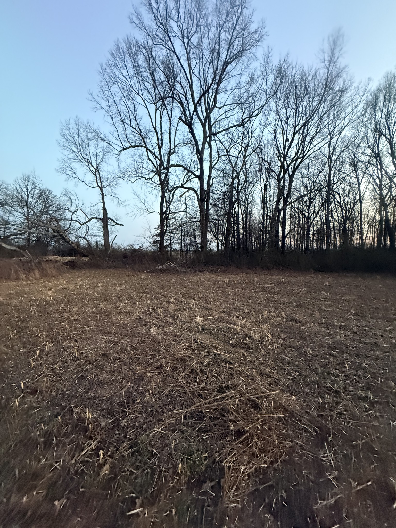 0 Rushing Road Ethridge, TN 38456 - Photo 16 of 16