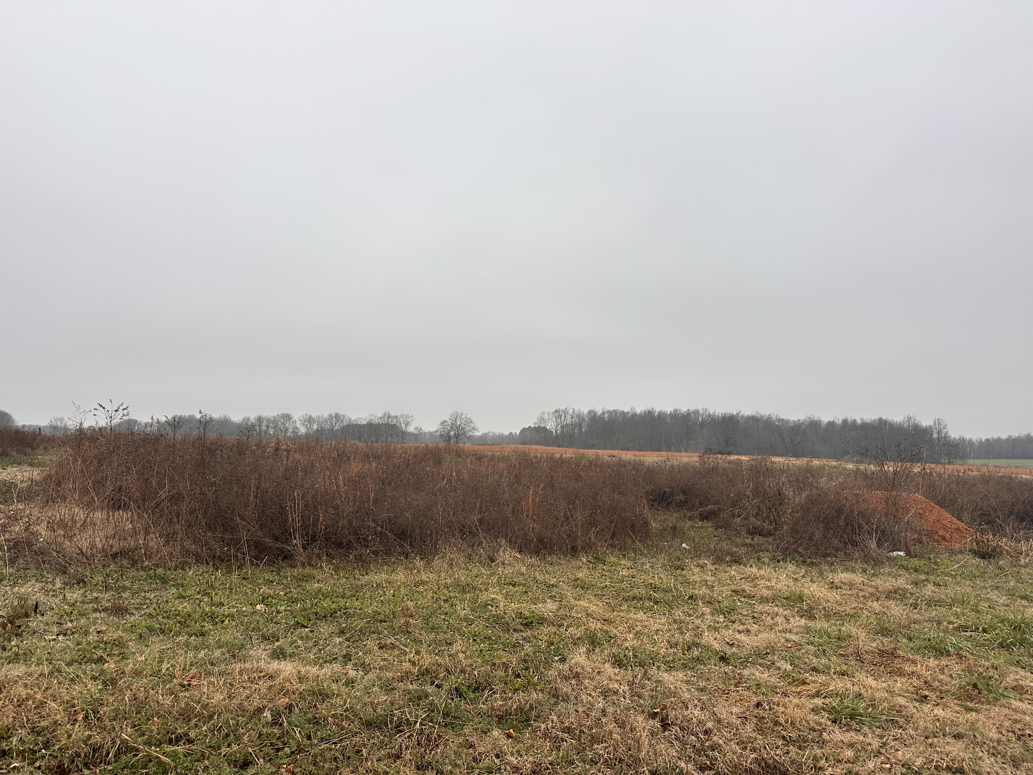0 Rushing Road Ethridge, TN 38456 - Photo 2 of 11 a view of lake view and mountain
