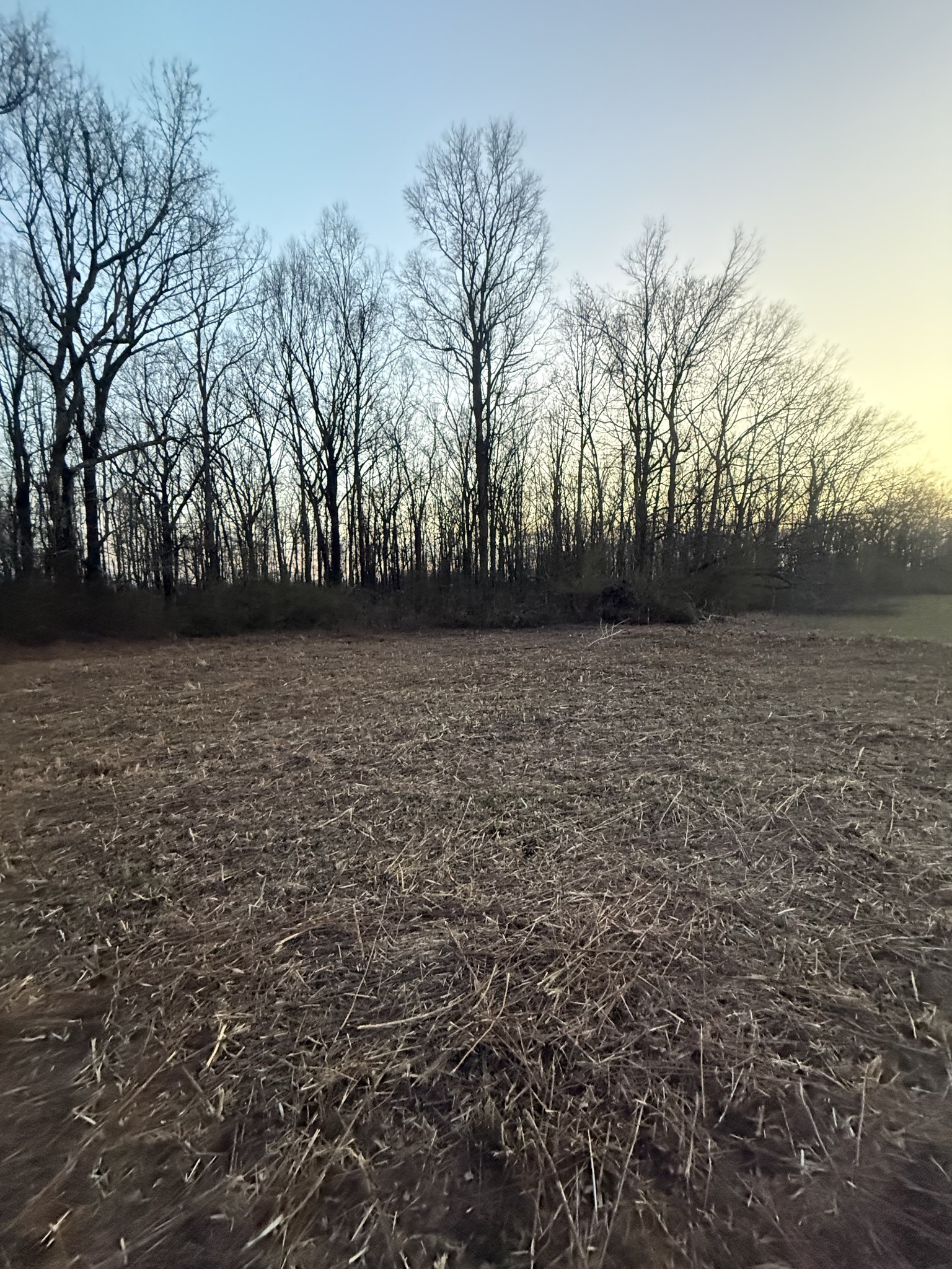 0 Rushing Road Ethridge, TN 38456 - Photo 3 of 16