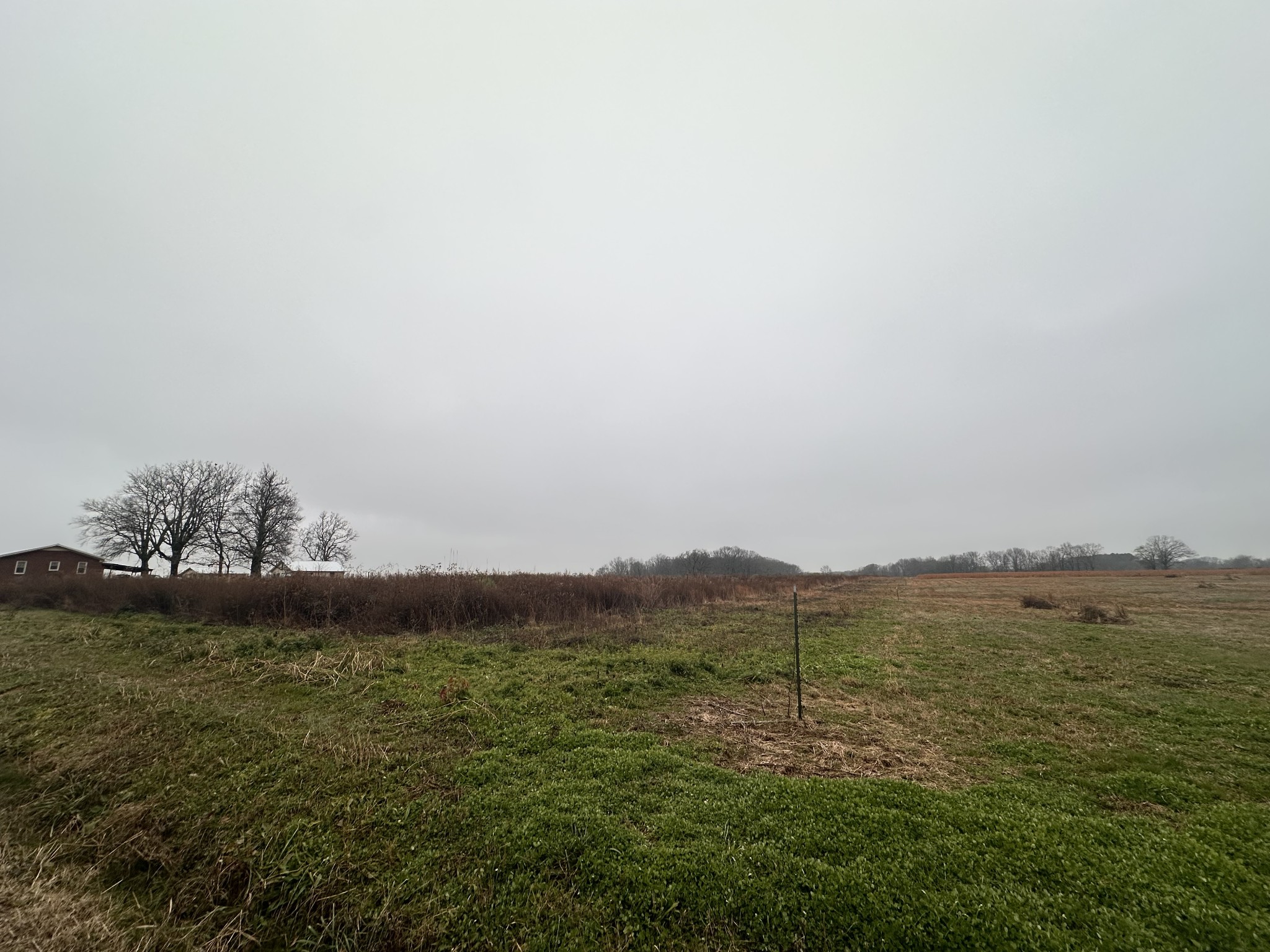 0 Rushing Road Ethridge, TN 38456 - Photo 3 of 11 a view of lake with mountain