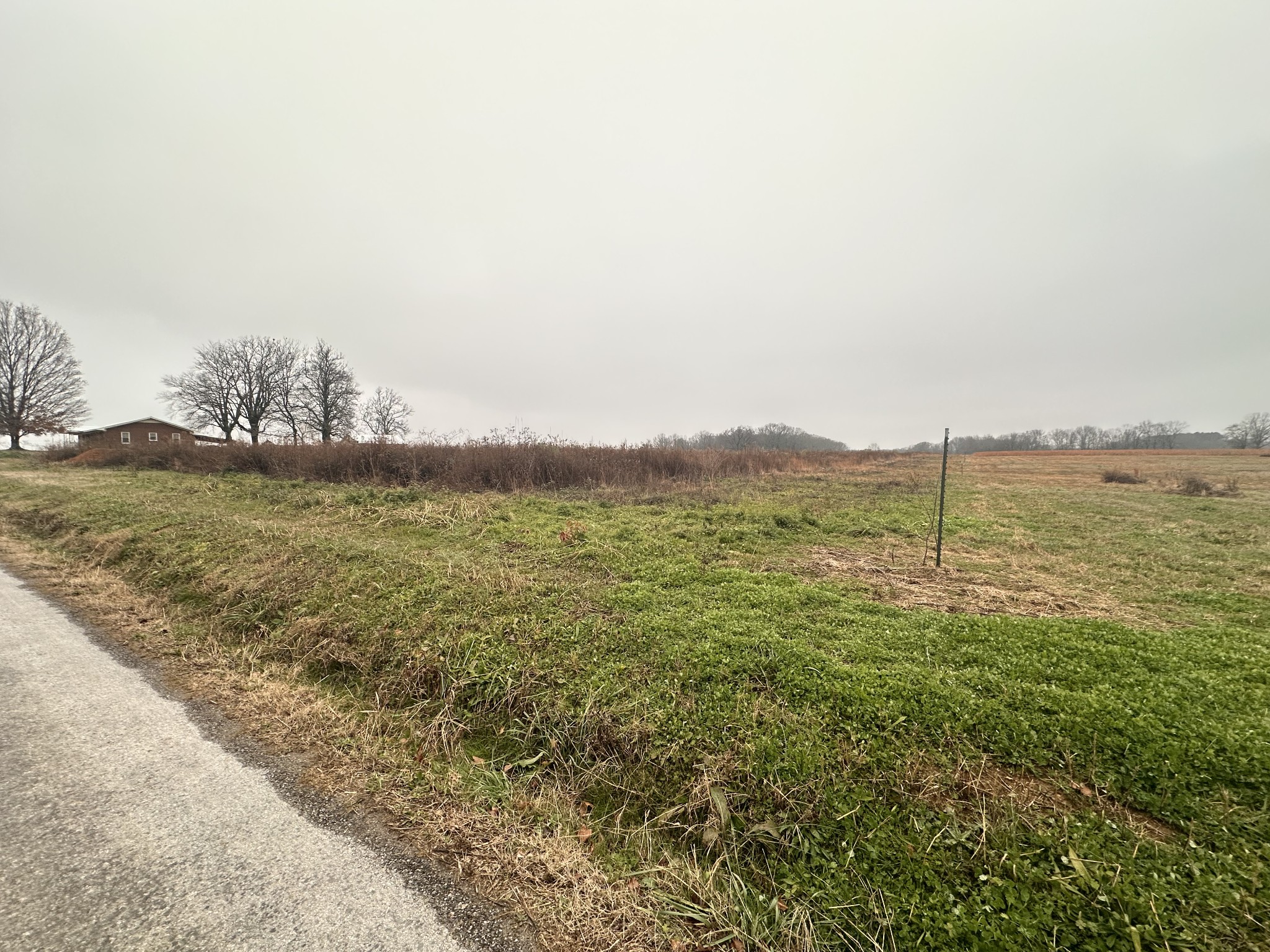 0 Rushing Road Ethridge, TN 38456 - Photo 4 of 11 a view of an ocean from a balcony