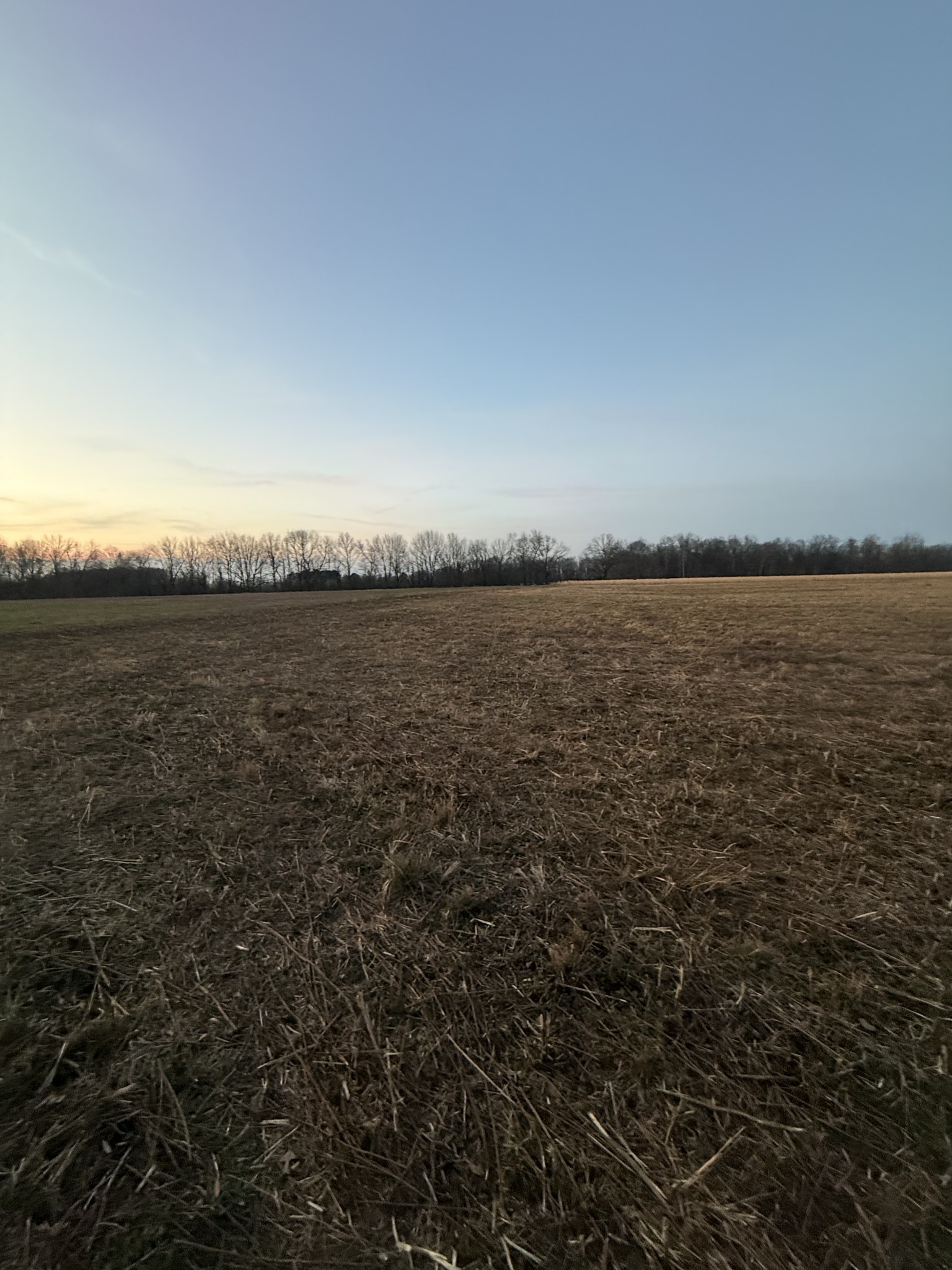 0 Rushing Road Ethridge, TN 38456 - Photo 4 of 16