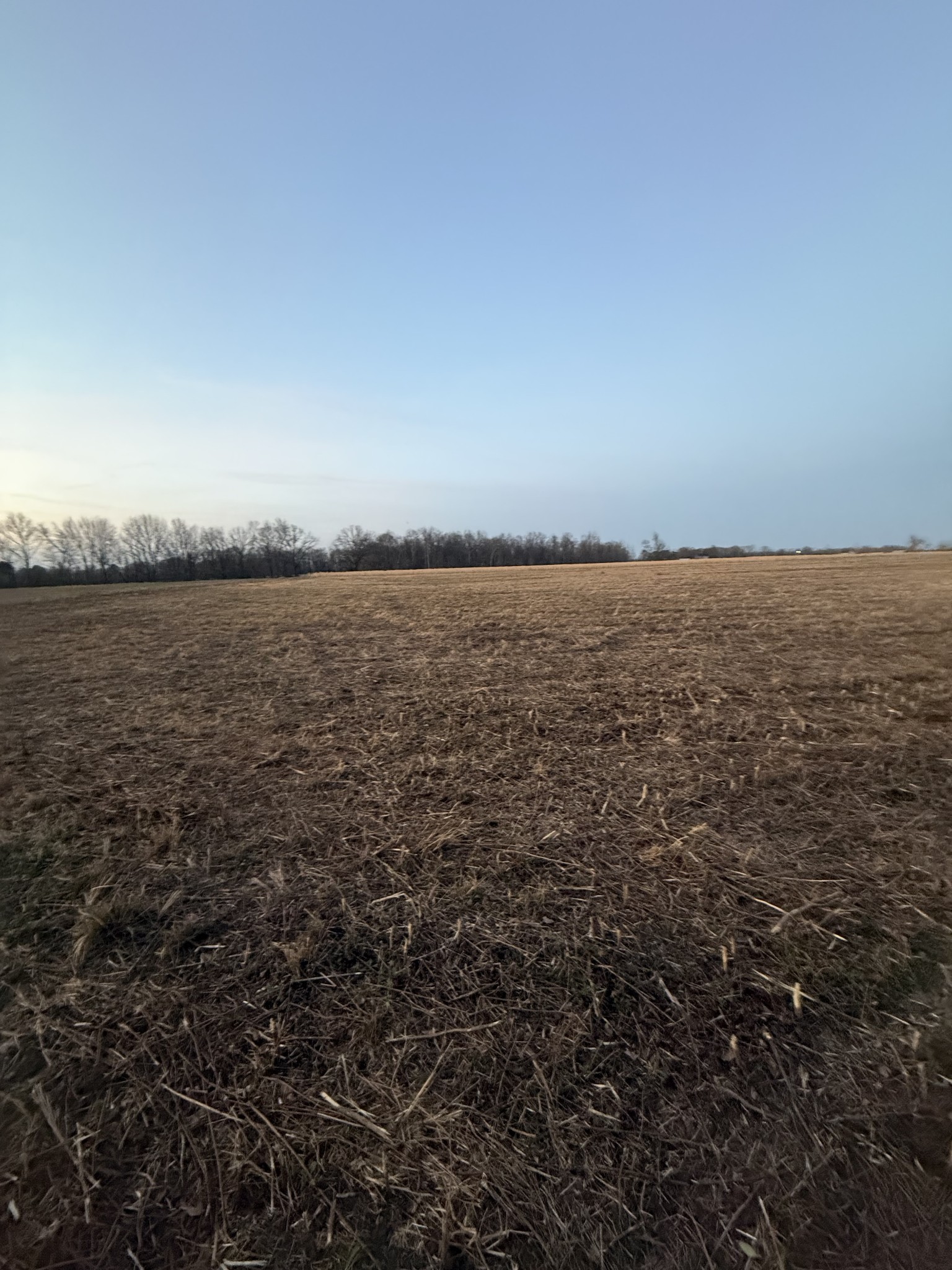 0 Rushing Road Ethridge, TN 38456 - Photo 5 of 16