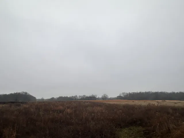 a view of mountain and lake