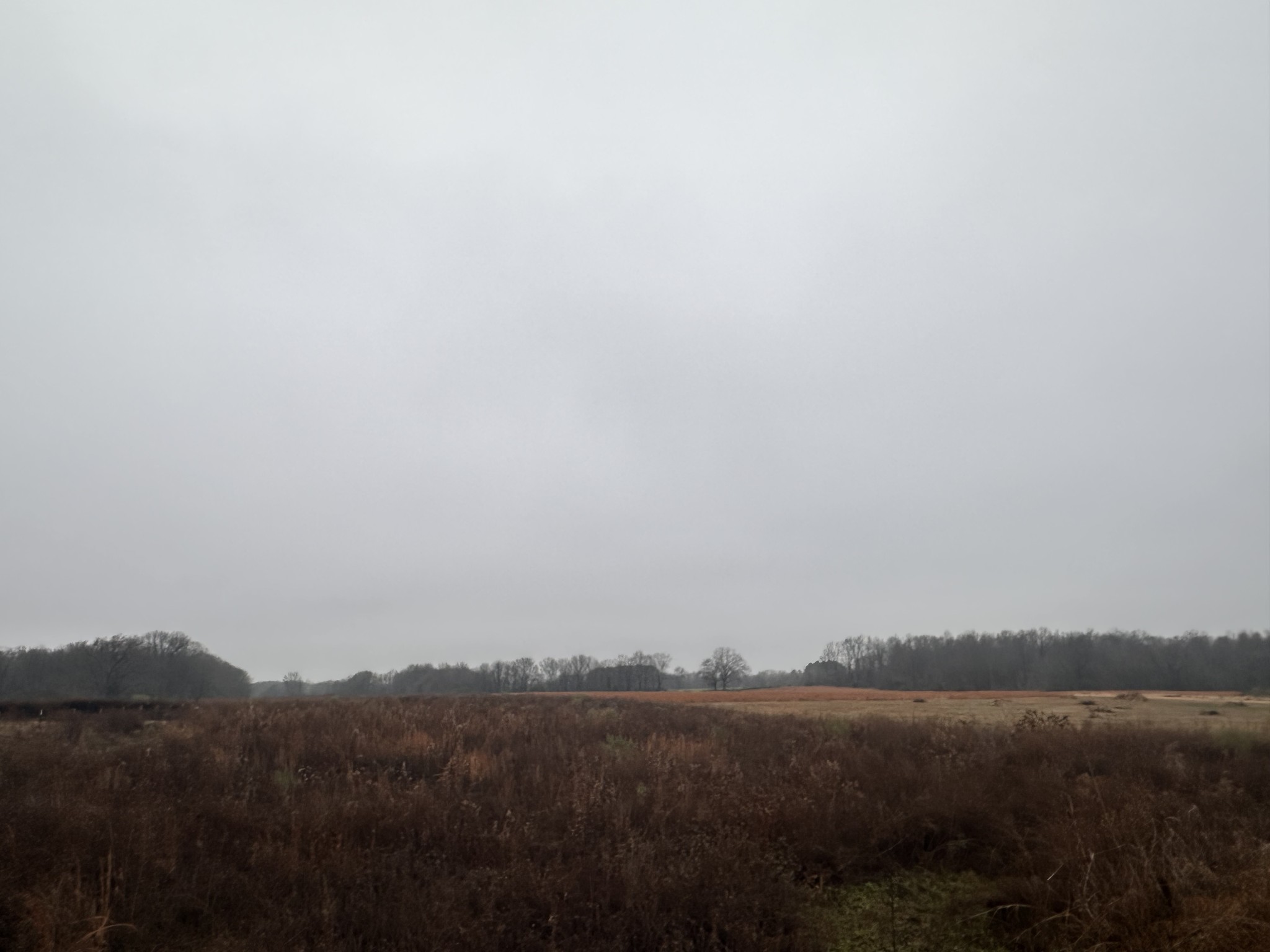 0 Rushing Road Ethridge, TN 38456 - Photo 6 of 11 a view of mountain and lake