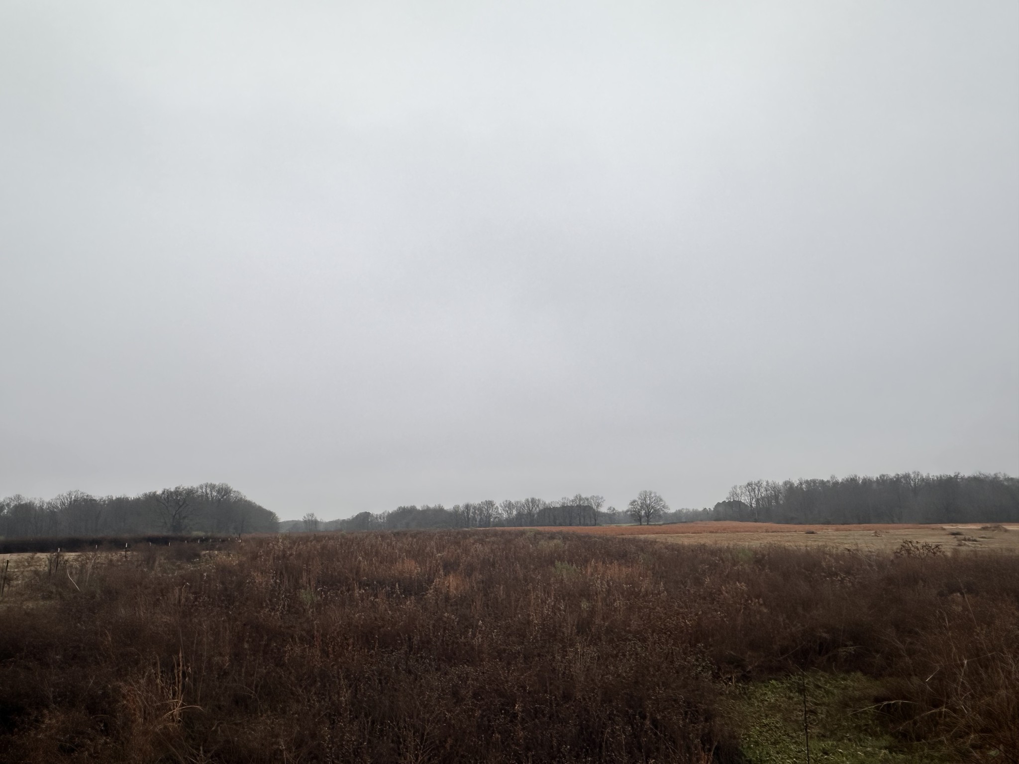 0 Rushing Road Ethridge, TN 38456 - Photo 7 of 11 a view of lake and mountain