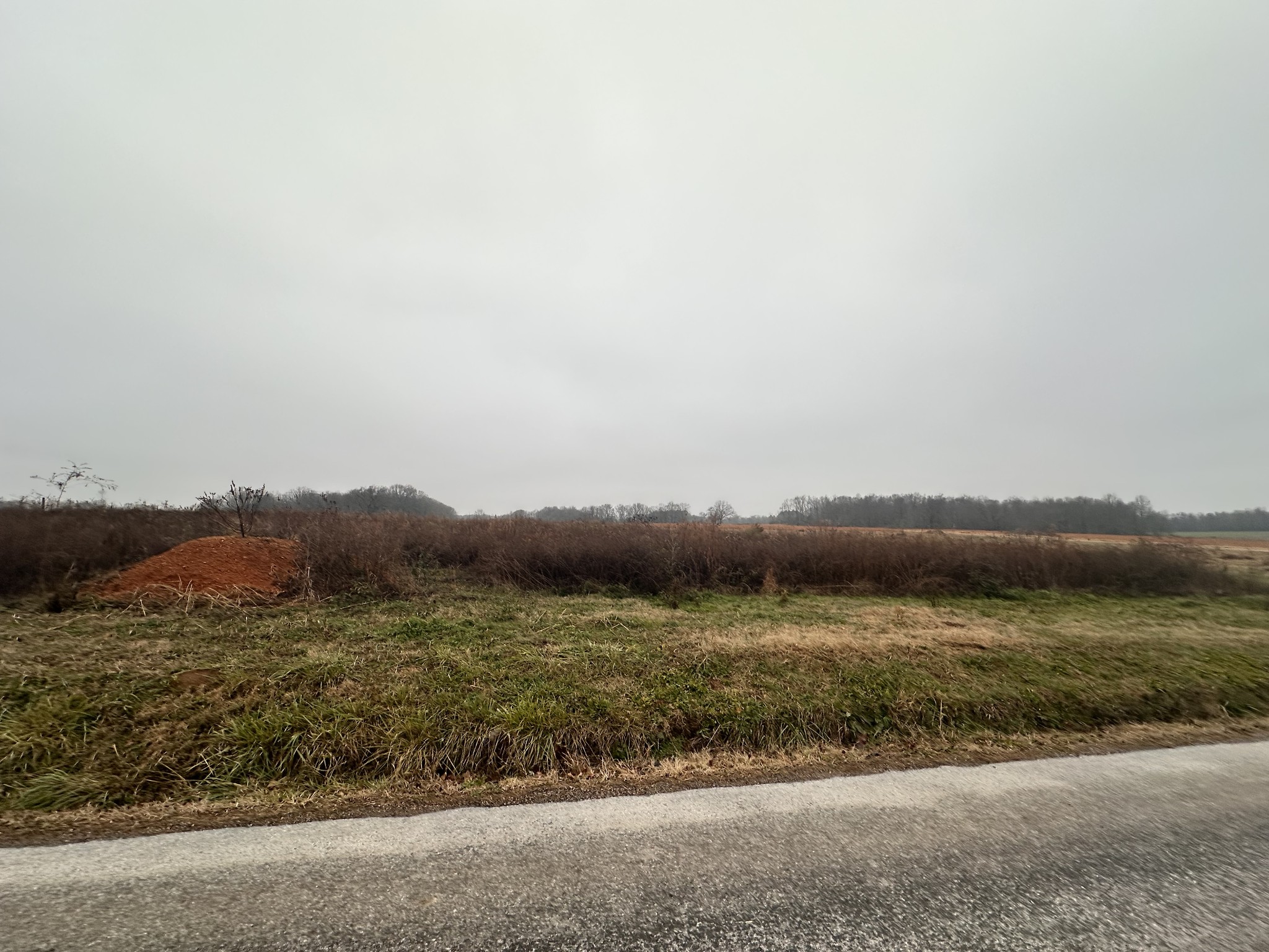 0 Rushing Road Ethridge, TN 38456 - Photo 10 of 11 a view of lake and mountain