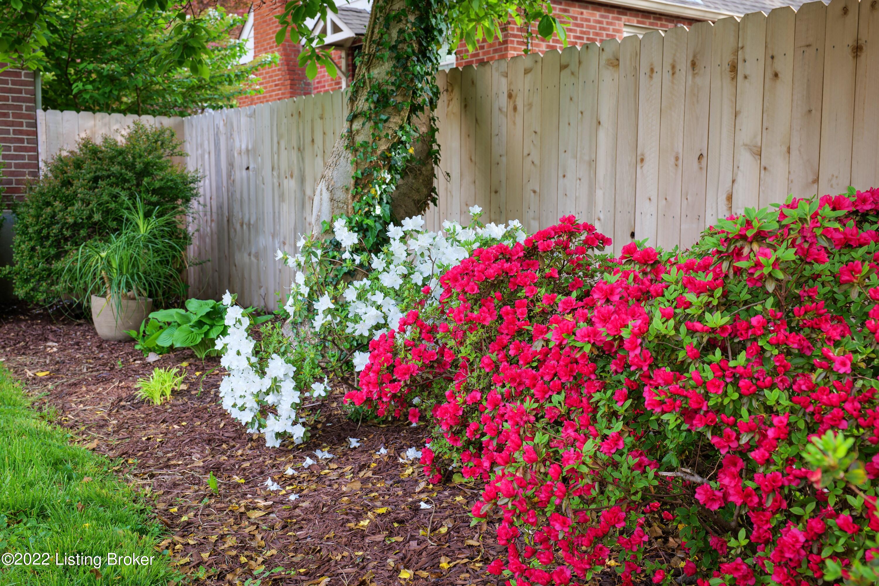 3820 Ormond Road Louisville, KY 40207 - Photo 25 of 27 3820 Ormond 26