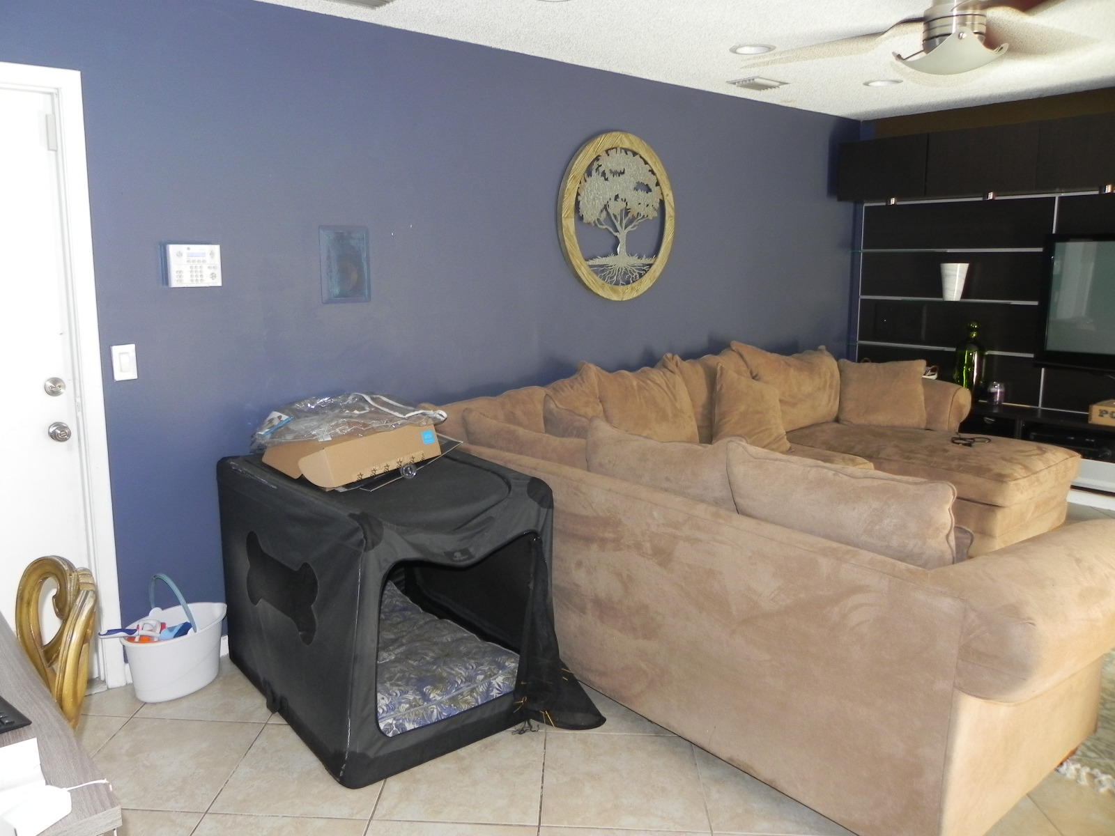 5839 Autumn Ridge Road Lake Worth, FL 33463 - Photo 17 of 31 DSCN0835
