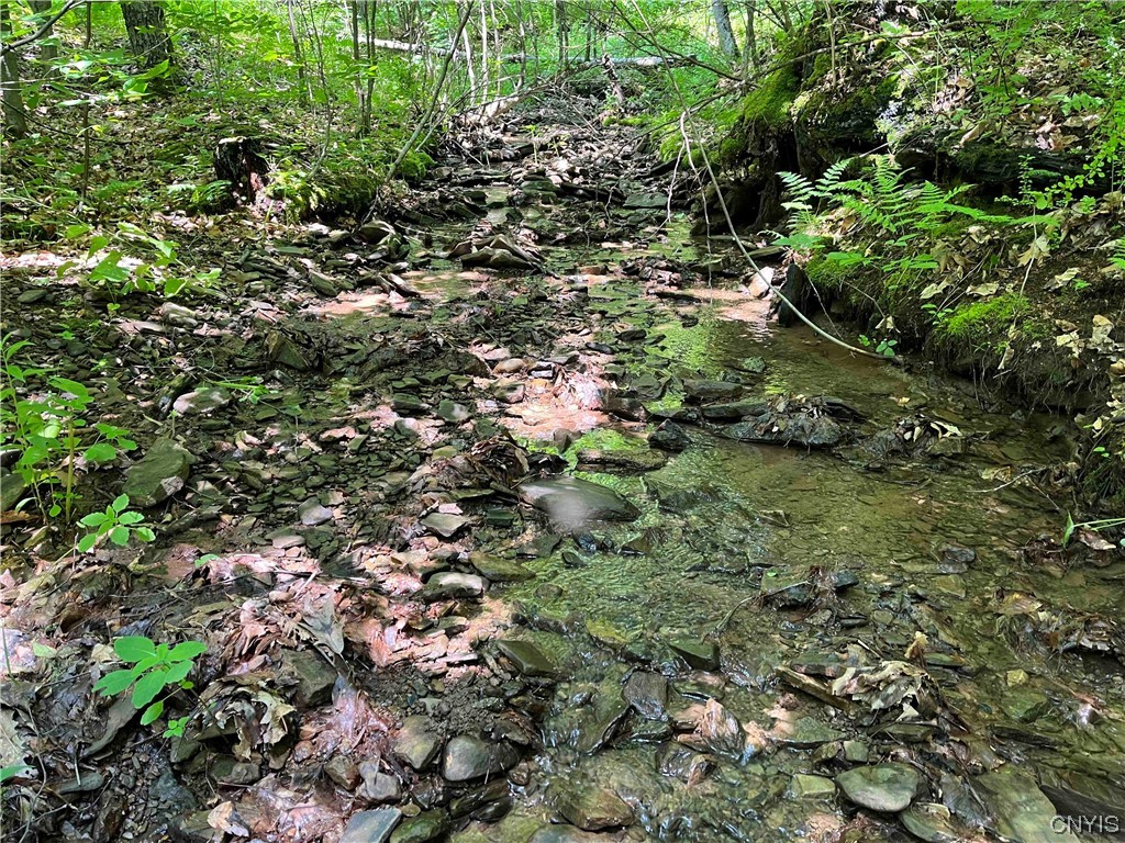 0 Gleason Hollow Road Belfast, NY 14711 - Photo 1 of 27 Gallery Image 1