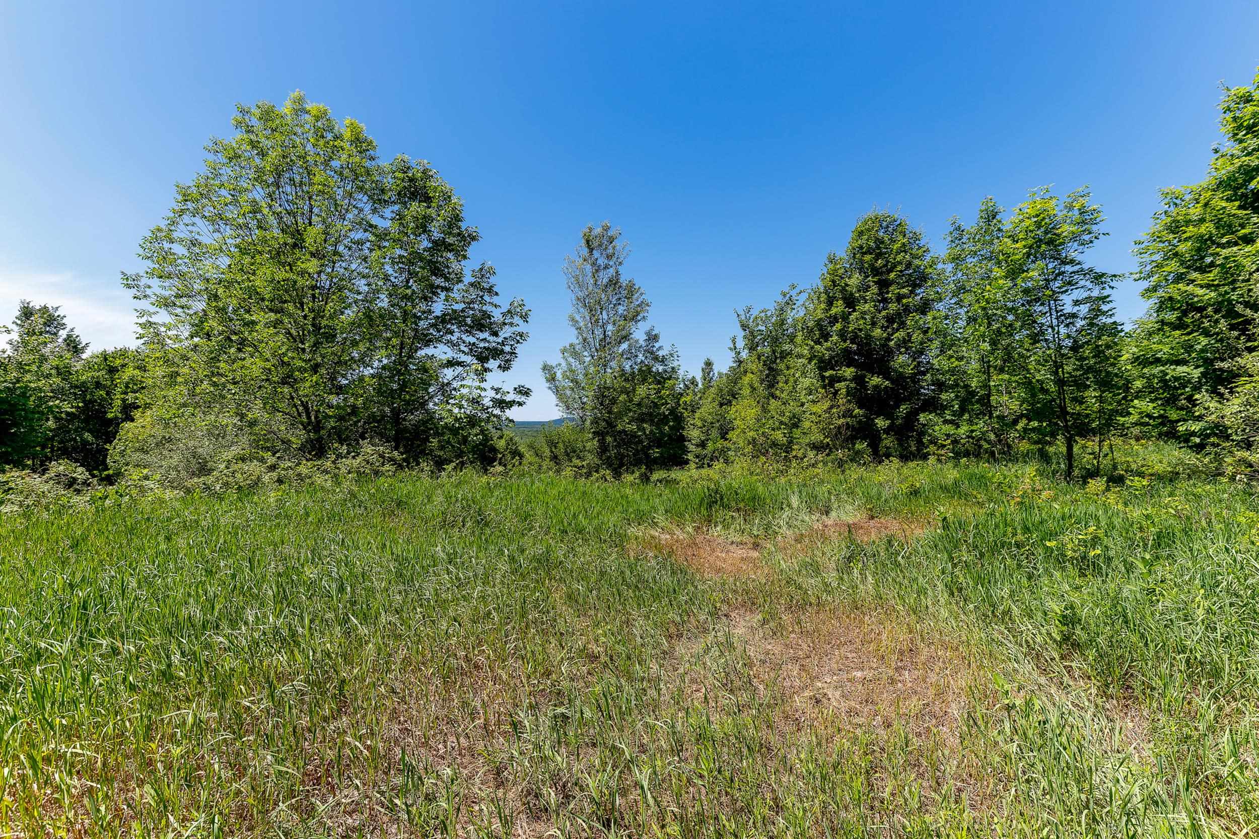 0 Nessen City Road Copemish, MI 49625 - Photo 13 of 17