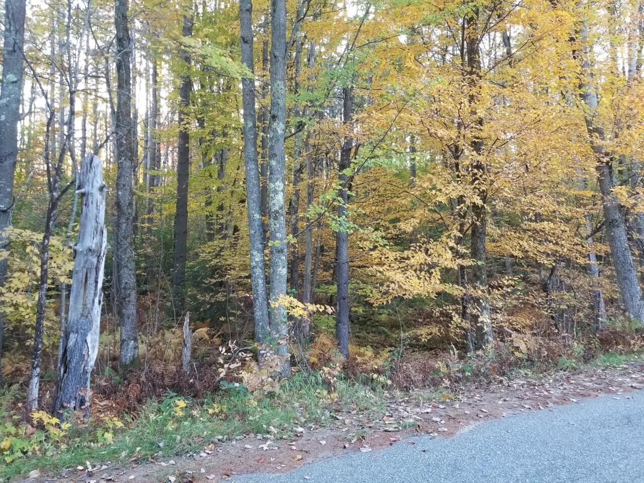 0 Osgood Road Jay, ME 04239 - Photo 2 of 2 0357 Diller Land