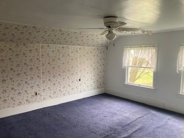 4727 Barnum Road Hastings, MI 49058 - Photo 21 of 28 image6
