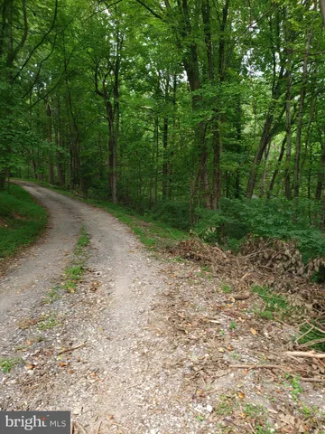 a view of a yard with a trees