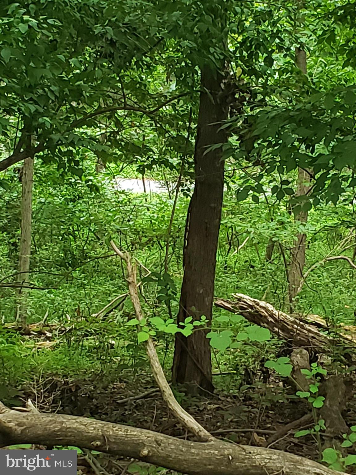 1218 Rayville Road Parkton, MD 21120 - Photo 12 of 27 a view of a garden with plants