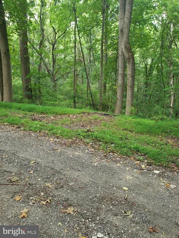a view of a yard with trees in the background