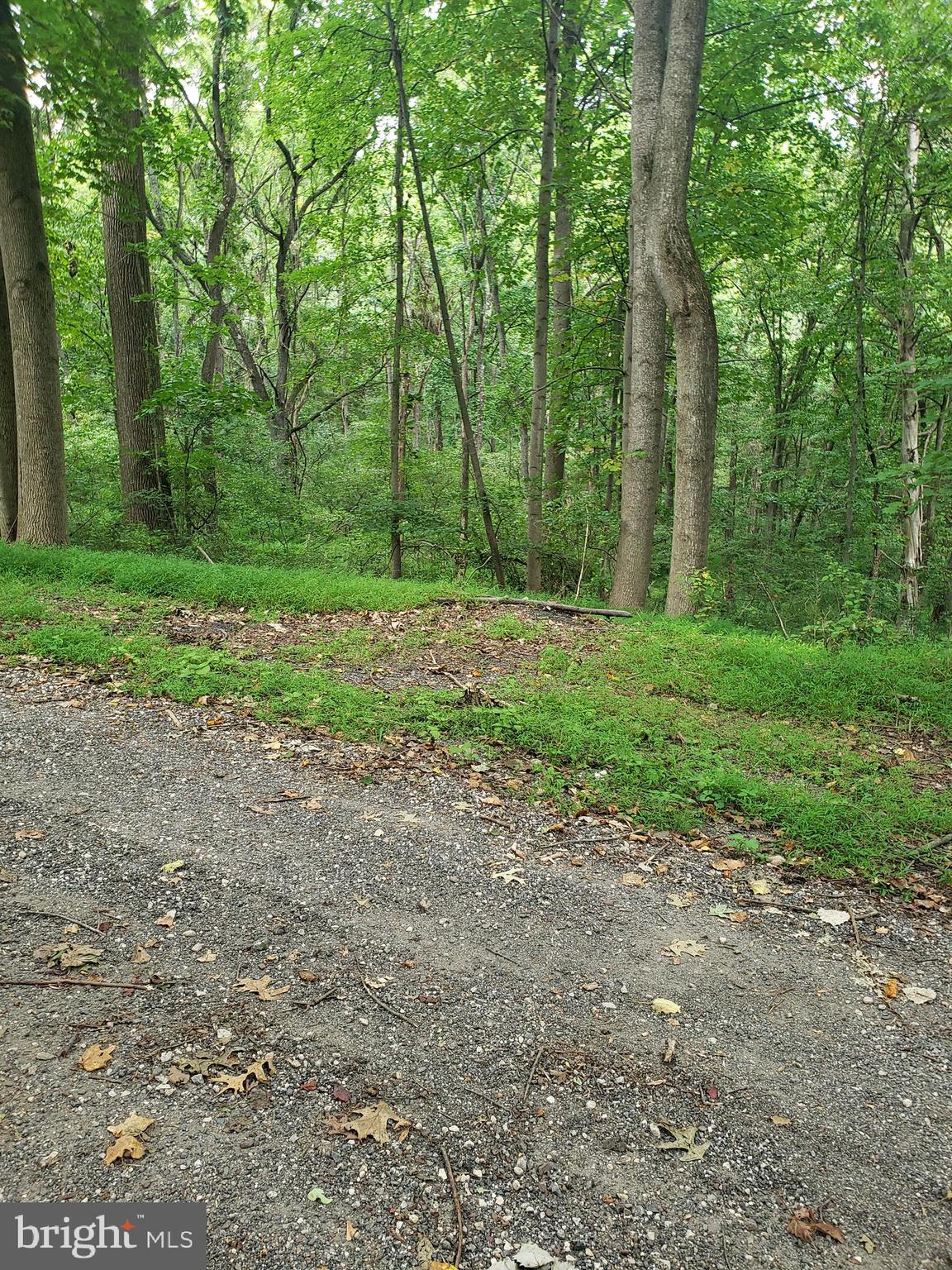 1218 Rayville Road Parkton, MD 21120 - Photo 14 of 27 a view of a yard with trees in the background