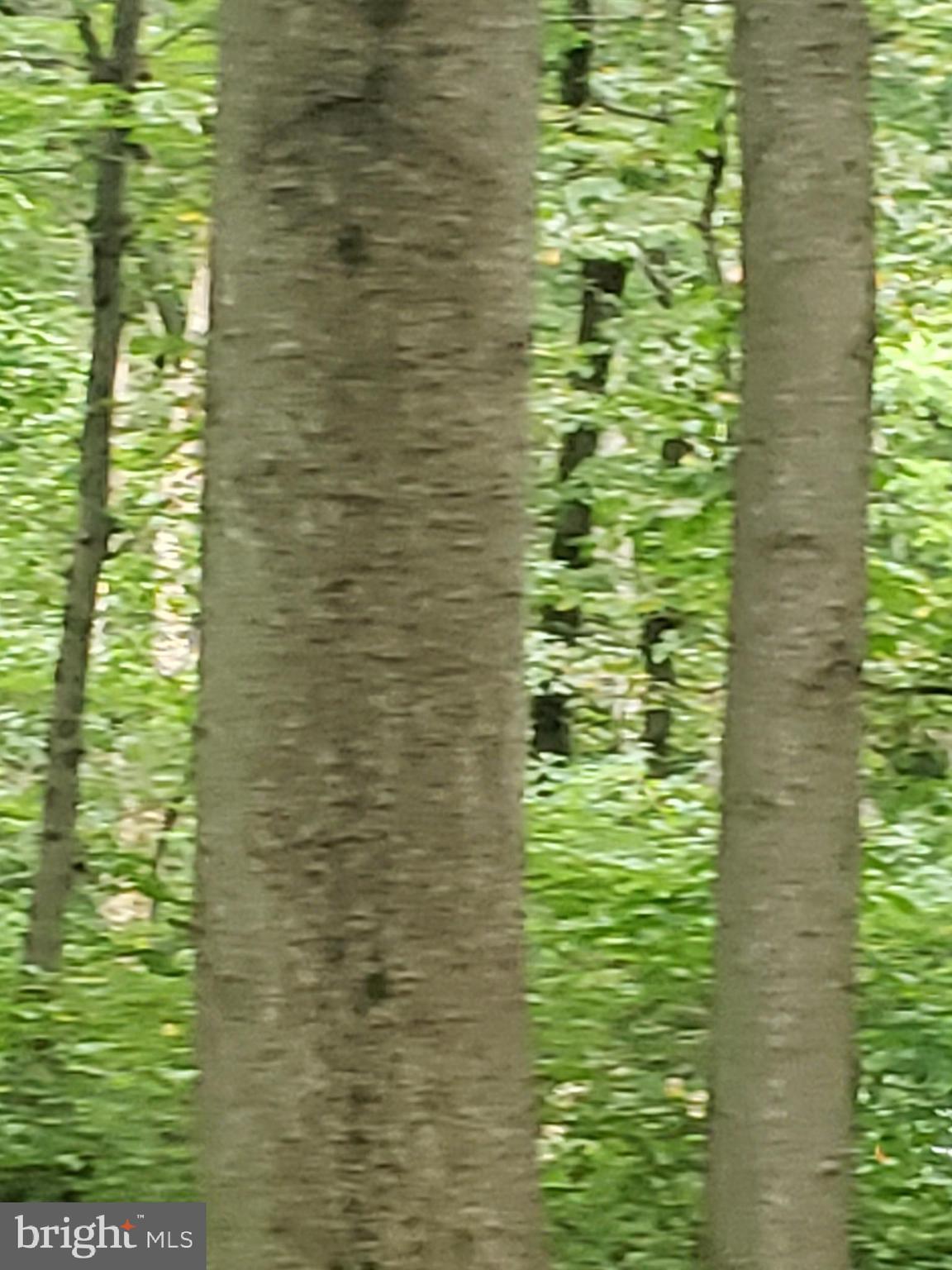 1218 Rayville Road Parkton, MD 21120 - Photo 15 of 27 a bathroom with a shower curtain