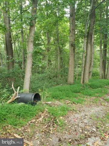 a backyard of a house with lots of green space and fountain