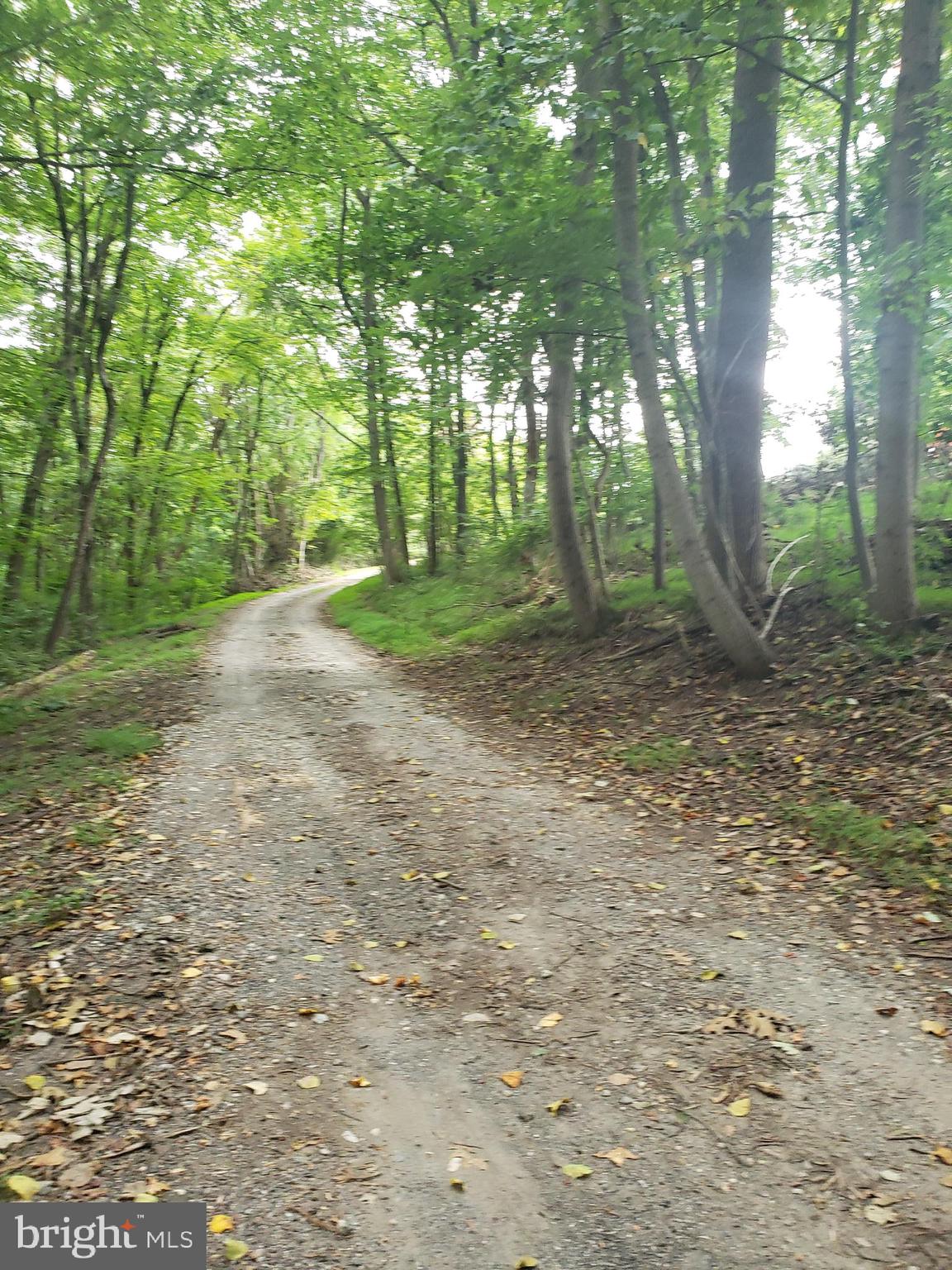 1218 Rayville Road Parkton, MD 21120 - Photo 17 of 27 a view of a forest with trees in the background