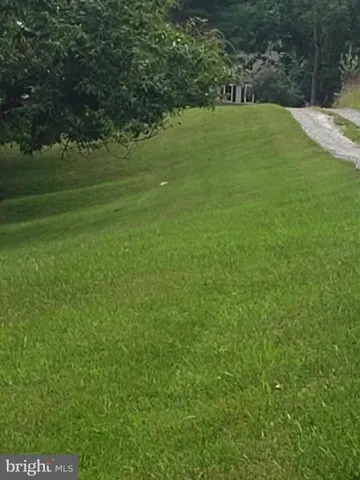a view of field with tall trees