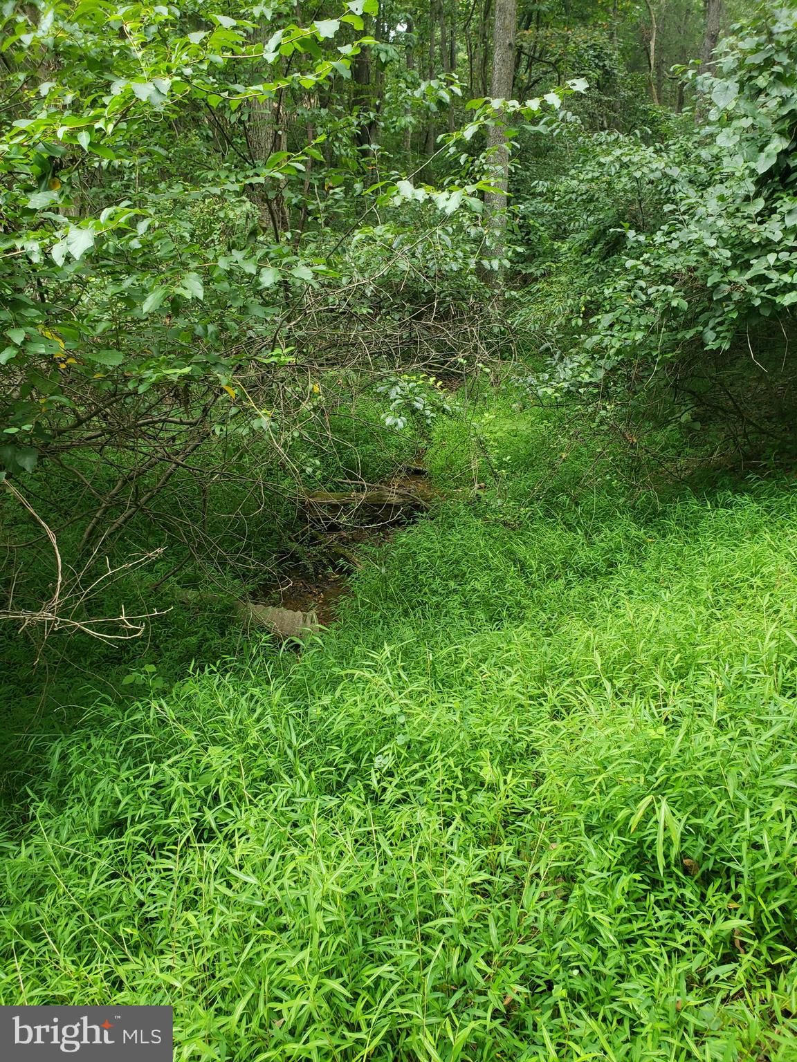 1218 Rayville Road Parkton, MD 21120 - Photo 23 of 27 a view of a lush green forest