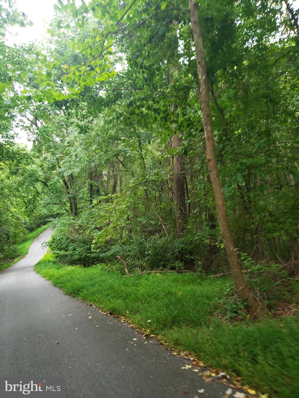 1218 Rayville Road Parkton, MD 21120 - Photo 26 of 27 a view of a forest with a street