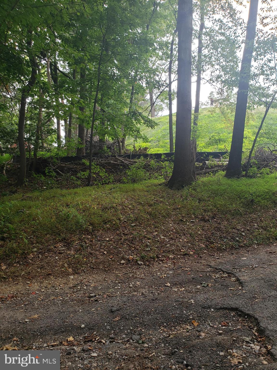 1218 Rayville Road Parkton, MD 21120 - Photo 27 of 27 a backyard of a house with lots of green space