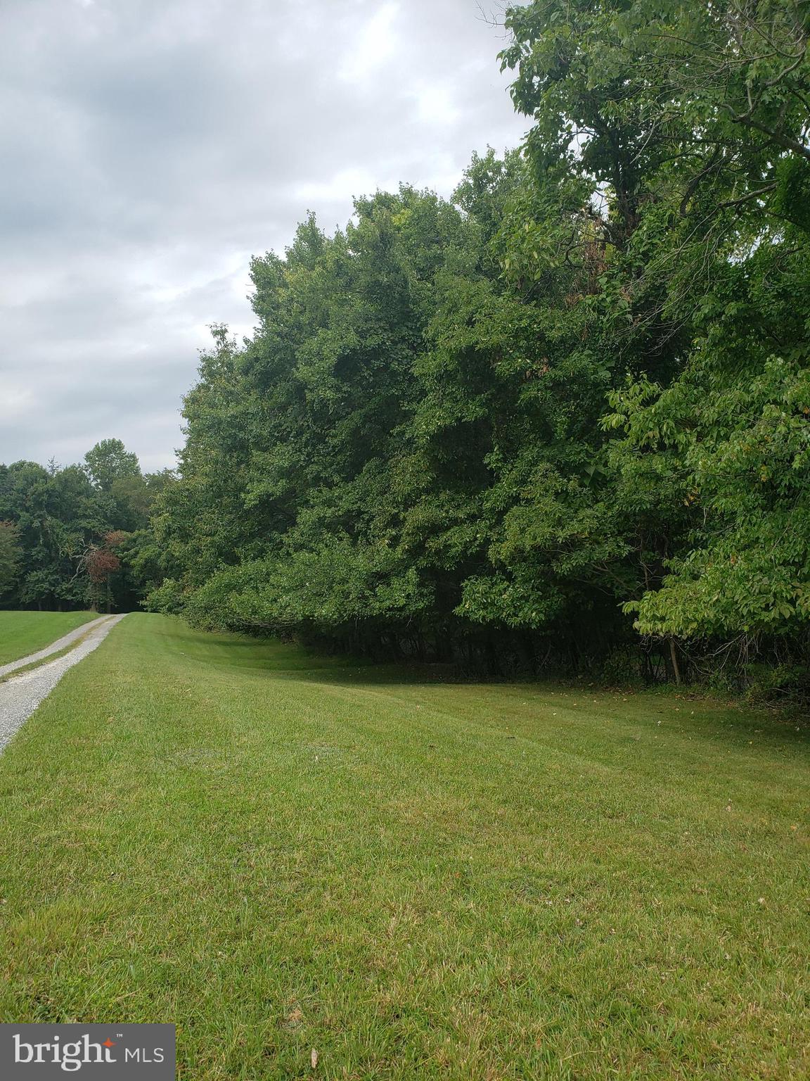1218 Rayville Road Parkton, MD 21120 - Photo 4 of 27 a view of a green yard with a house