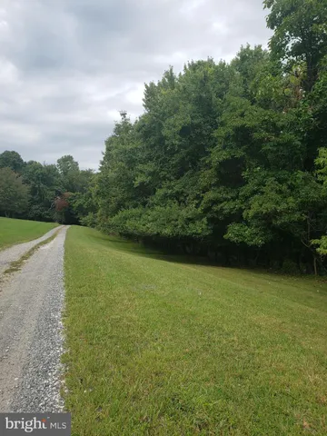 a view of a field with a trees in the background