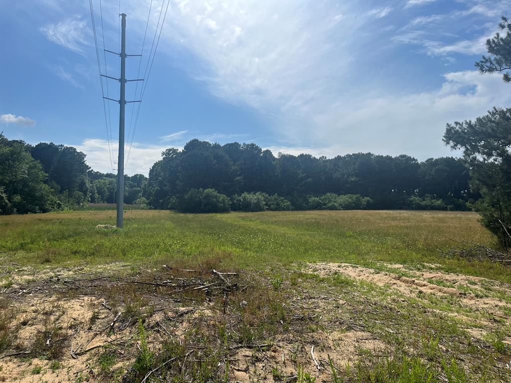 N/a Chincoteague Road Wallops Island, VA 23337 - Photo 11 of 27